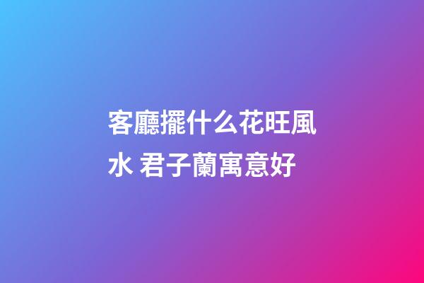 客廳擺什么花旺風水 君子蘭寓意好